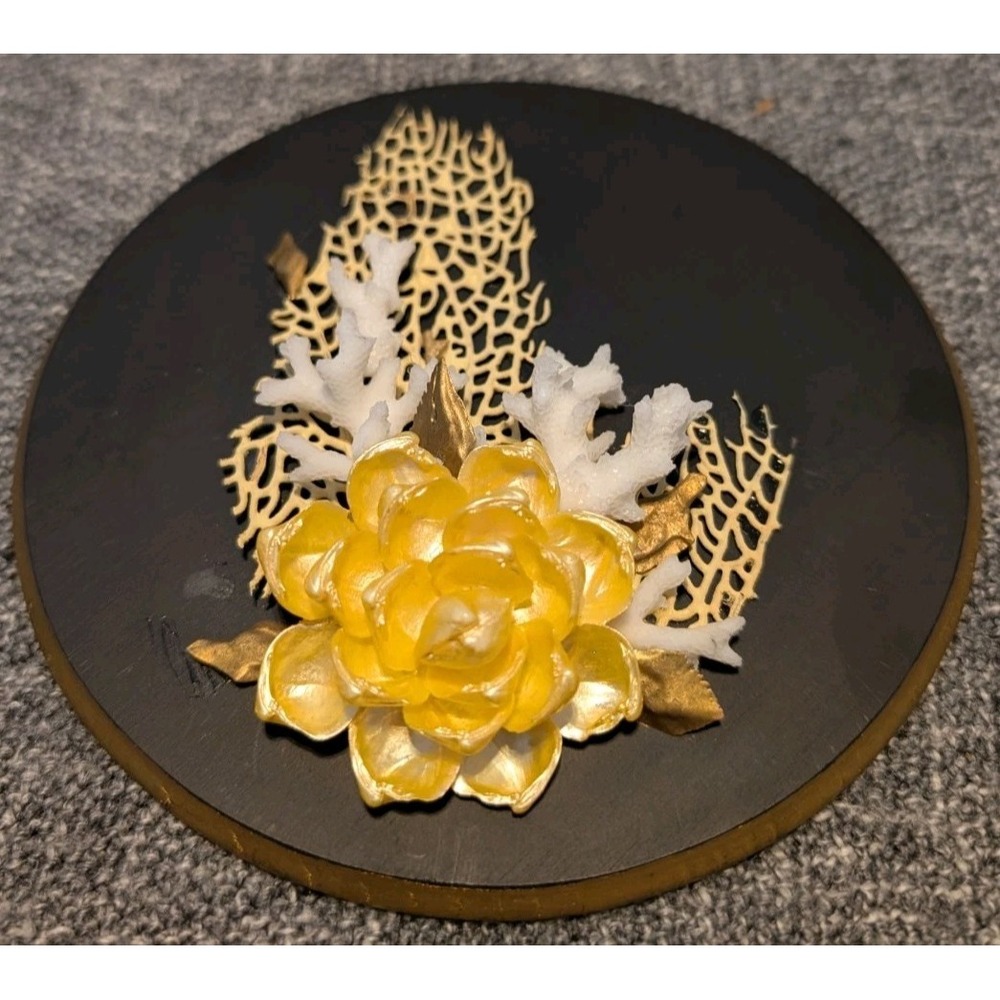 Vintage Hawaiian Seashell Art Plaque 3D Island Shell‎ Wall Decor Made in Hawaii